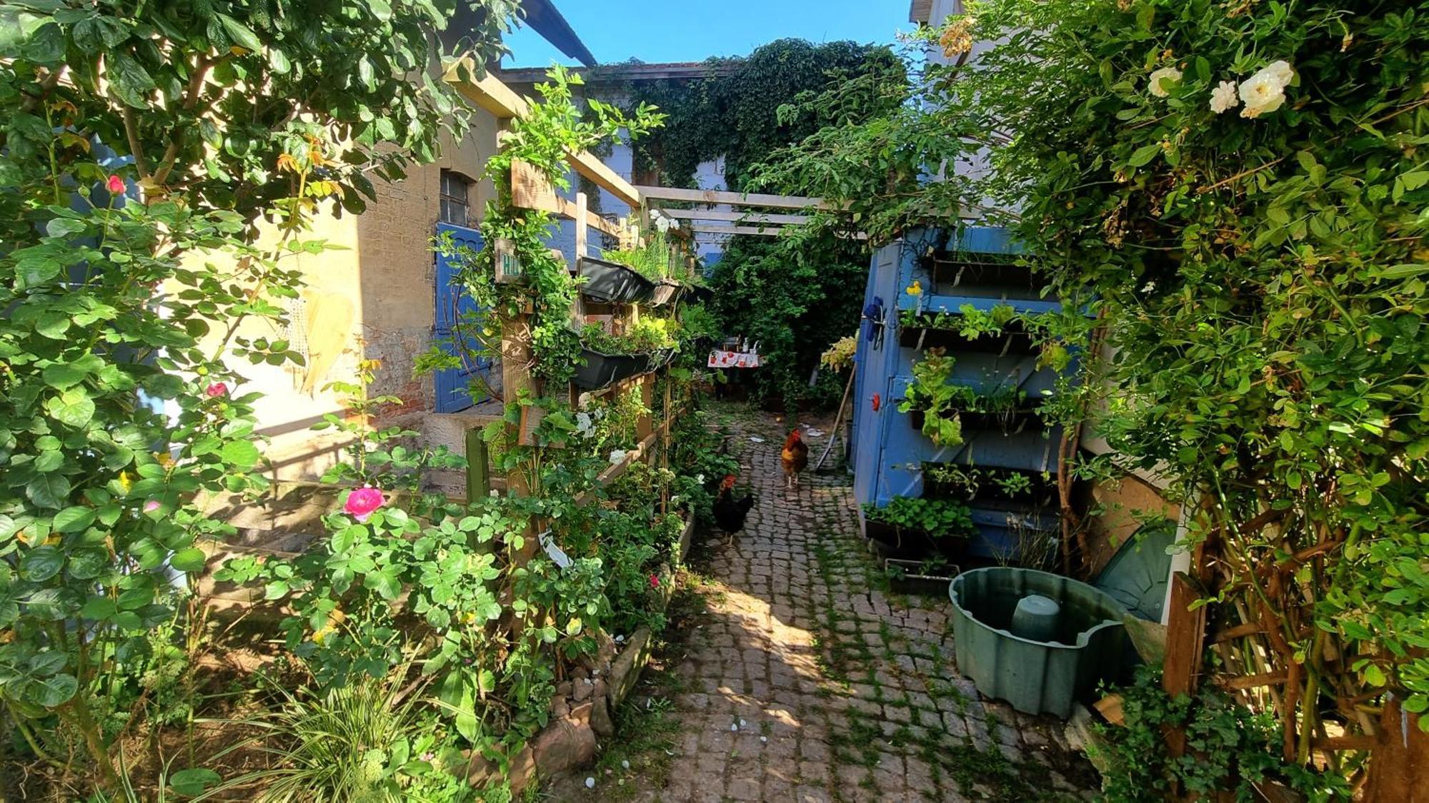 Bauernhof Privatzimmer Hortus Sandrine Gemeinschaftsbad Free Wifi Hausbreitenbach 外观 照片